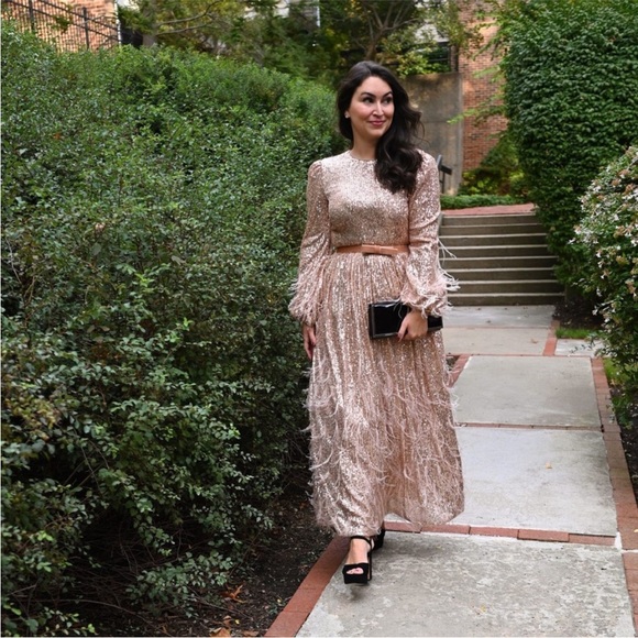 Antonio Melani Sequin Feathered A-line Dress Size 2 NWT - Picture 4 of 12